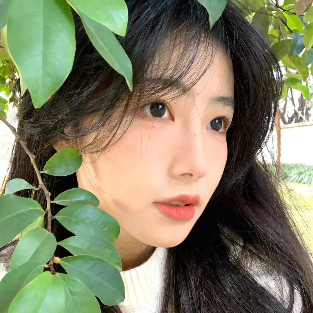 无言的山丘